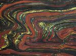 Polished Tiger Iron Stromatolite - ( Billion Years) #63991-1